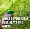 A hand wearing a glove sprays a lawn with a green spray bottle. Produktbild-Vorschau
