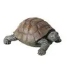 Boltze 3784300, Wielobarwny, Plastik, Polyresin, Animals, Podgląd zdjęcia produktu 2
