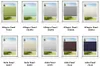 A grid of different colored window blinds displayed in window frames. Produktbild-Vorschau