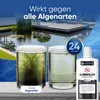 Teicher Algenvernichter – Gegen Schwebe- & Blaualgen im Produktbild-Vorschau 2