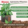 LENI Hydrokultur Komplett-Set mit Blumentopf Kulturtopf Produktbild-Vorschau 3