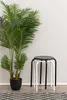 A potted plant and two stools against a wall. Náhľad obrázku produktu