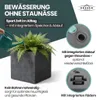XL Pflanzkasten „Millennium“ 49x49x49 cm - 80L Volumen - Produktbild-Vorschau 6