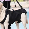 A person is helping a dog walk with a black lifting harness around its hindquarters. Produktbild-Vorschau