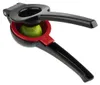 Spremiagrumi APS per lime/limoni, nero/rosso, altezza: 50 Anteprima dell’immagine prodotto 5