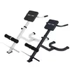 Two GORILLA SPORTS hyperextension trainers, one white and one dark gray, are shown against a white background. Produktbild-Vorschau