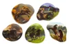 ergobag contour Kletties set horse friends Náhľad obrázku produktu 2
