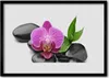 Bild 100x70 MDF-Rahmen Wandkunst Blumen-Stones-Kunst Produktbild-Vorschau 1