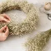 Schleierkraut getrocknet im Bund 50-60cm Gypsophila Produktbild-Vorschau 7