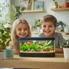 Kruger Meier Plant Meadow - roślinka sztuczna Podgląd zdjęcia produktu 2