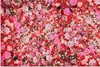 MuchoWow® Poster Blumen - Farben - Rosen 180x120 cm - Produktbild-Vorschau 1