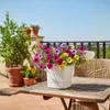 HowHomely | Pflanzgefäß - Blumentopf mit Untersetzer - Produktbild-Vorschau 10