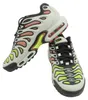 Nike Air Max Plus TN Drift FD4290 009 Helles Silber/Volt 43 Produktbild-Vorschau 17