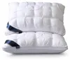 Cuscino ergonomico rinfrescante per dormire – PILLOWLUX Anteprima dell’immagine prodotto 2
