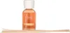 Millefiori Milano Fragrance Diffuser Lime & Vetiver 250 ml Náhled obrázku produktu 3