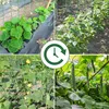 Trellis síť šplhací pomůcka zahradní rajčata okurky 2 x 2,5 Náhled obrázku produktu 3