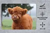 MuchoWow® Mauspad Mousepad Scottish Highlander - Kalb - Produktbild-Vorschau 2
