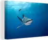 OneMillionCanvasses® - Leinwandbilder - 140x90 cm, Großer Produktbild-Vorschau 1