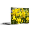 MuchoWow® Laptop Aufkleber Sticker Cover Blume - Narzissen Produktbild-Vorschau 1