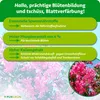 Purgrün Oleander Dünger | Flüssigdünger mit extra Phosphor Produktbild-Vorschau 3