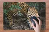 MuchoWow® Schreibtischunterlage Schleichender Jaguar im Produktbild-Vorschau 3