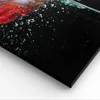 Bild auf Leinwand - Leinwandbild - Fisch Wasser Natur - Produktbild-Vorschau 5