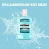 Listerine, Rinçage, Menthe fraîche goût doux, 250 ml Voir les images du produit 3