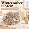 Winterschaufenster mit Curly Moos in Weiß als Schneedecke Produktbild-Vorschau