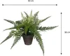 Mica Decorations Farn Kunstpflanze im Blumentopf Stan - H38 Produktbild-Vorschau 10