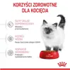 Marketing image for Royal Canin kitten food, highlighting health benefits with text and illustrations. Produktbild-Vorschau