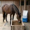 PANTO Wisan-Lein 25kg - Pferdefutter mit Leinsaat Produktbild-Vorschau 3