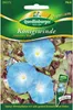 Königswinde 'Heavenly blue' Quedlinburger Blumensamen Produktbild-Vorschau 3