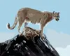 Zuty - Malování podle čísel - PUMA S MLÁDĚTEM (D. RUSTY Náhled obrázku produktu 1