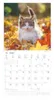 Alpha Edition - Samtpfötchen Kalender 2026 - Wandkalender & Produktbild-Vorschau 13