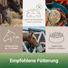 PANTO Leckerli Apfel & Karotte 3.2kg - Pferdeleckerlies Produktbild-Vorschau 4