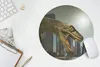 MuchoWow® Mauspad Mousepad Dinosaurier - Stadt - Kopf 30x30 Produktbild-Vorschau 5