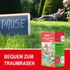 ONBEST Rasensamen | 1 kg | inklusive Sommerblumenmischung | Produktbild-Vorschau 10