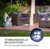 blumfeldt Trumpet Flow Gartenbrunnen - stetiger Produktbild-Vorschau 5