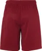 Uhlsport Center Basic Shorts Kinder - Bordeaux / Skyblue Produktbild-Vorschau 2