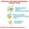 Royal Canin Labrador Retriever Junior, Welpe, Labrador Produktbild-Vorschau 3