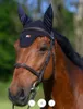 Tommy Hilfiger Cuffia equestre Lexington desert sky, Anteprima dell’immagine prodotto 6