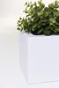 VIVANNO Bac à fleurs en fibre de verre FLOBO Bac, blanc mat Voir les images du produit 7