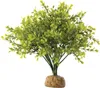 Exo Terra Terrarien-Pflanze Buchsbaum Produktbild-Vorschau 2