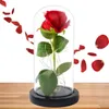 Ewige Rose unter Glas mit LED, rote Dekorationsrose, Produktbild-Vorschau 6