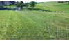 horizont Schafnetz turbomax high energy | 90 cm hoch | 50 m Produktbild-Vorschau 1