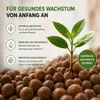 Blähton Tongranulat 4/16 mm 50 Liter für Hydrokultur und Produktbild-Vorschau 5