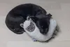 Beeztees Puppy Cuddle Toys und Herzschlag Simulator Lama Produktbild-Vorschau 3