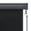 vidaXL Store extérieur 80 x 250 cm Anthracite Voir les images du produit 6
