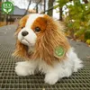 Peluche King Charles Spaniel 25 Cm Ecologico Anteprima dell’immagine prodotto 12