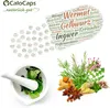 CaloCaps PRE WEIGHT GAINER Appetitanreger Kapseln zur Produktbild-Vorschau 5